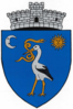 Coat of arms of Brateș