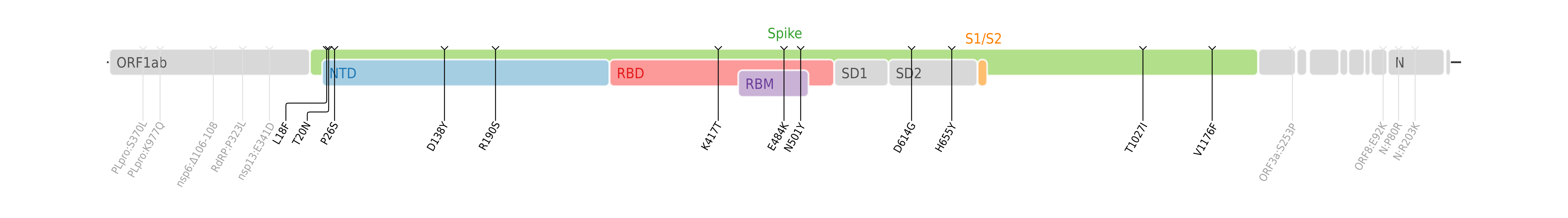 スパイクタンパク質に焦点を当てたSARS-CoV-2のゲノムマップ上にプロットされたガンマ株のアミノ酸変異。