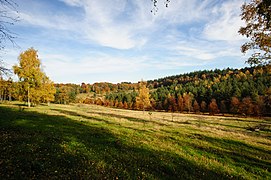 Soest, Netherlands: autumn landscape