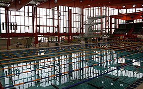 Large pool and diving tower (2008)