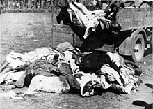 Ethiopian victims of the Addis Ababa massacre