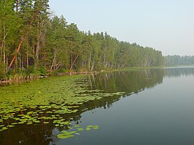 Вид на озеро Днико в 2010 году