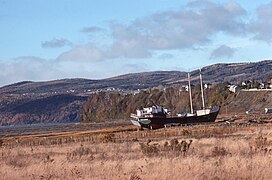 St. Lawrence schooner, in a field