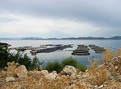 Aquaculture en Grèce occidentale.