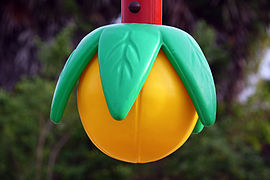 Hanging artificial fruit at a playground in Sri Lanka