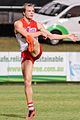 Brandon Jack playing for Sydney in 2016