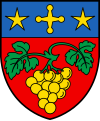 Blason