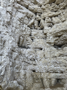 Detail of Chalk Stack, Botany Bay