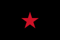 Flag of the EZLN and the Neozapatista ideology