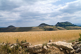 Champ de céréales sur le site de la Cham des Bondons, entre causse de Sauveterre et mont Lozère, au centre.