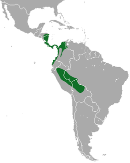 Área de distribución de Choloepus hoffmanni