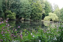 Mühlenteich als Regenrückhaltebecken