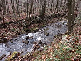 A medium-sized river about ten feet across, flowing through a deeply cut gully with steep banks. The river cut exposes the rockiness of the ground. The rocks appear to be falling into the river as it continues to erode the gully. Trees on the bank are leaning into the gully and a thick forest fades off into the background. It is fall and the trees are bare and the forest floor is covered in colorful leaves.