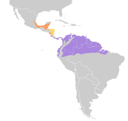 Distribución geográfica del bienteveo rayado (excluyendo el bienteveo rayado meridional M. solitarius).