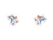 1z3s: Angiopoietin-2 Receptor Binding Domain