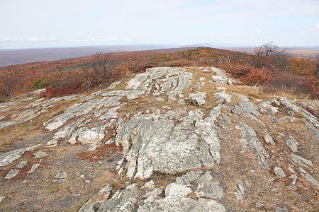 Shawagunk Formation outcrop.