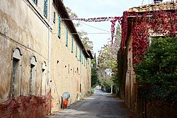 The main road in Presciano