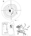 Taksai plan of barrow no. 6, burial ground Taksay-1; 2 – central pit covered by logs;3 – grave no. 3.