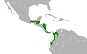 Distribución geográfica de la tangara cabecidorada.