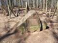 Stein im Wildpark Kaiserslautern