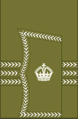 1902 to 1920 major's sleeve rank insignia (general pattern)
