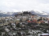 Alatri innevata