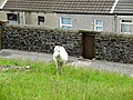 Former miners' cottages