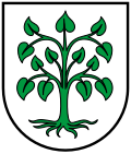 Brasão de Schutterwald