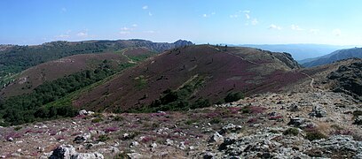 Vue de la montagne d'Aret sur la commune de Rosis.