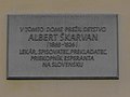 Albert Škarvan