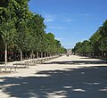 'Wanoux' avenue in the Tuileries, 2022