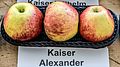 Kaiser Alexander