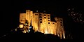 Leh Palace lit in night on Galdan Namchot, 2016.