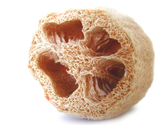 Plant fiber sponge: A luffa sponge whose coarse texture helps with skin scrubbing and exfoliation