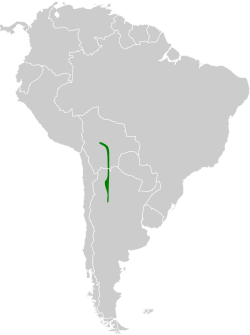 Distribución geográfica de la monterita cejirrufa.