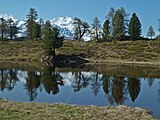 Temporärer See in der Moosalp mit Mischabelgruppe