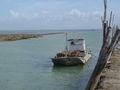 Oléron-Bateau huitres