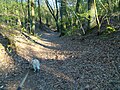 Teufelssee der einstige Über-/Ablauf auf der Ostseite