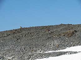 303B号界碑不是在Haldičohkka峰顶上。