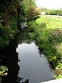 River Lark north of Tollgate Bridge (2011)