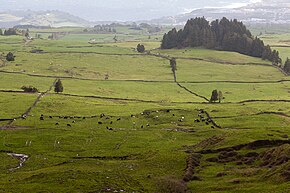 Campo de pastagem em Arrifes