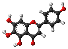 Ball-and-stick model of scutellarein