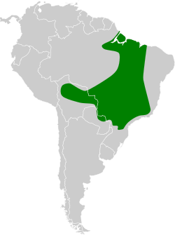 Distribución geográfica de la monjita velada.