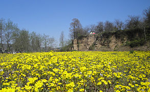 بلیران