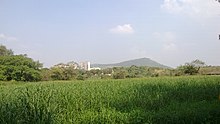 Skyscrapers at the edge of Aarey Colony