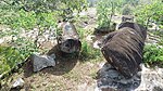 Rock formations among trees