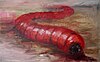 Mongolian death worm (Allghoikhorkhoi)