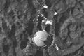 アレシボ天文台衛星写真