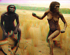 Australopithecus