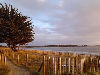 Vue de la baie vers le sud